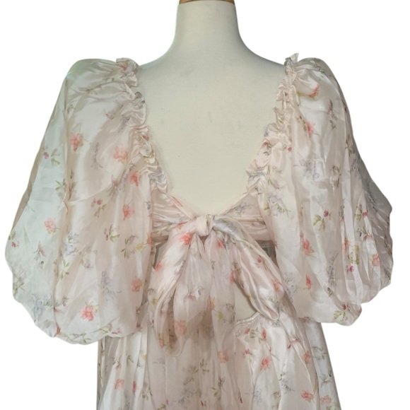 NWT Melody Maxi Dress with pleats and bow detail in pink rose Floral size 2xl - Picture 6 of 7